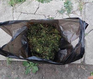 Белоглинские полицейские выявили наркопритон и пресекли незаконный оборот наркотиков